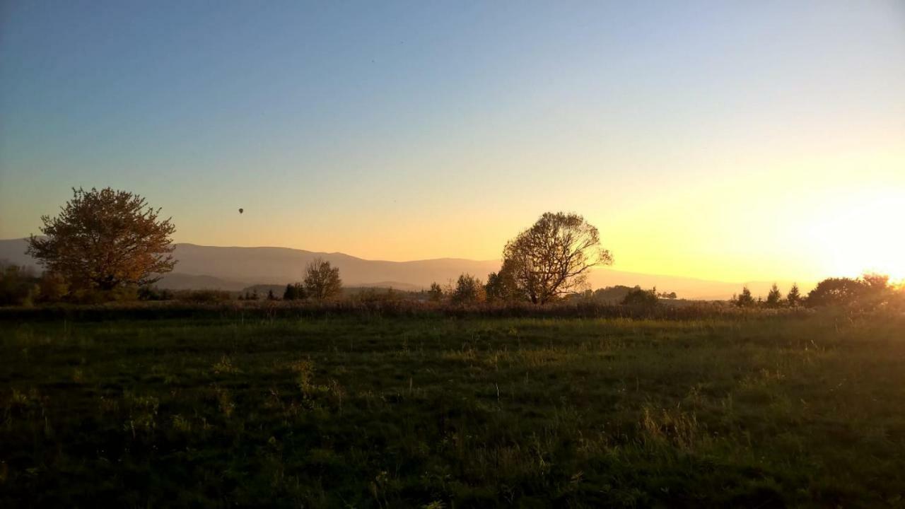Agroturystyka Ulima Dziwiszow ภายนอก รูปภาพ