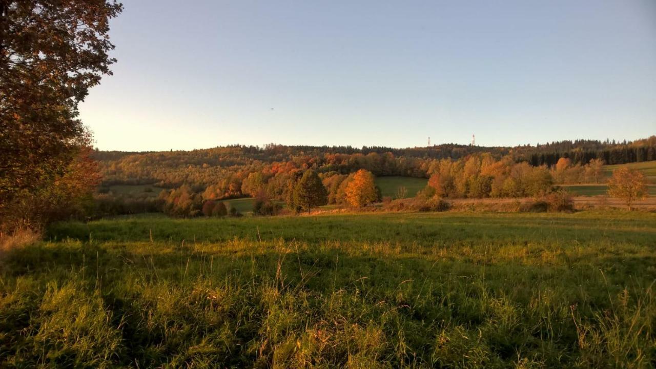 Agroturystyka Ulima Dziwiszow ภายนอก รูปภาพ