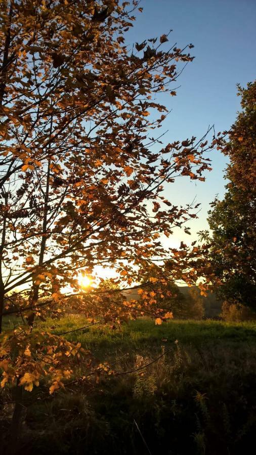 Agroturystyka Ulima Dziwiszow ภายนอก รูปภาพ